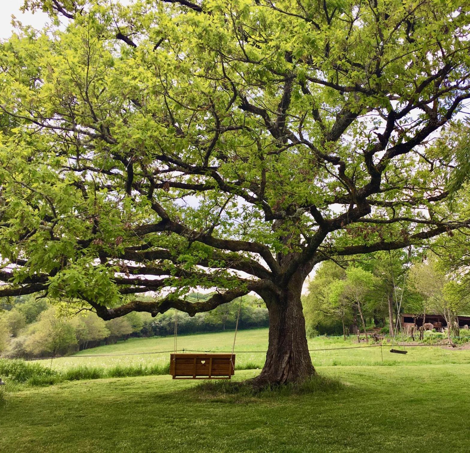 Domaine Le Rianon Villa Malleret-Boussac ภายนอก รูปภาพ