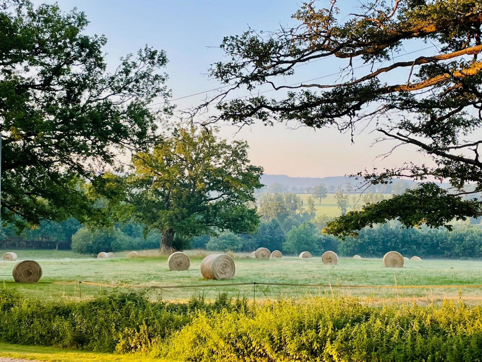Domaine Le Rianon Villa Malleret-Boussac ภายนอก รูปภาพ
