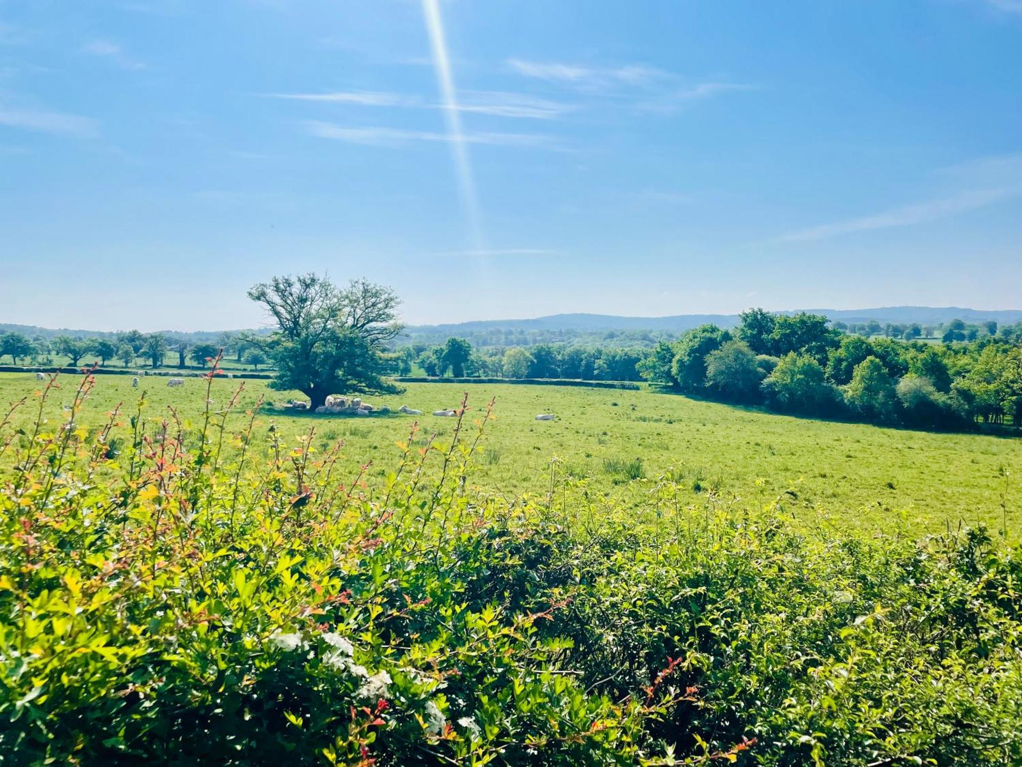 Domaine Le Rianon Villa Malleret-Boussac ภายนอก รูปภาพ